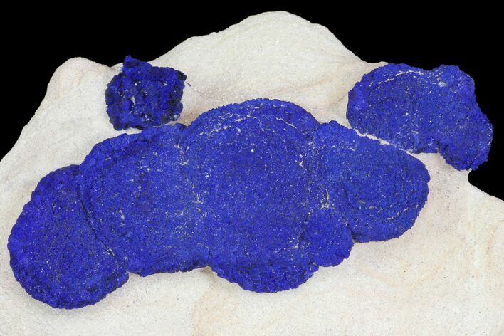 Blue Azurite Sun Cluster on Siltstone - Australia #142784
